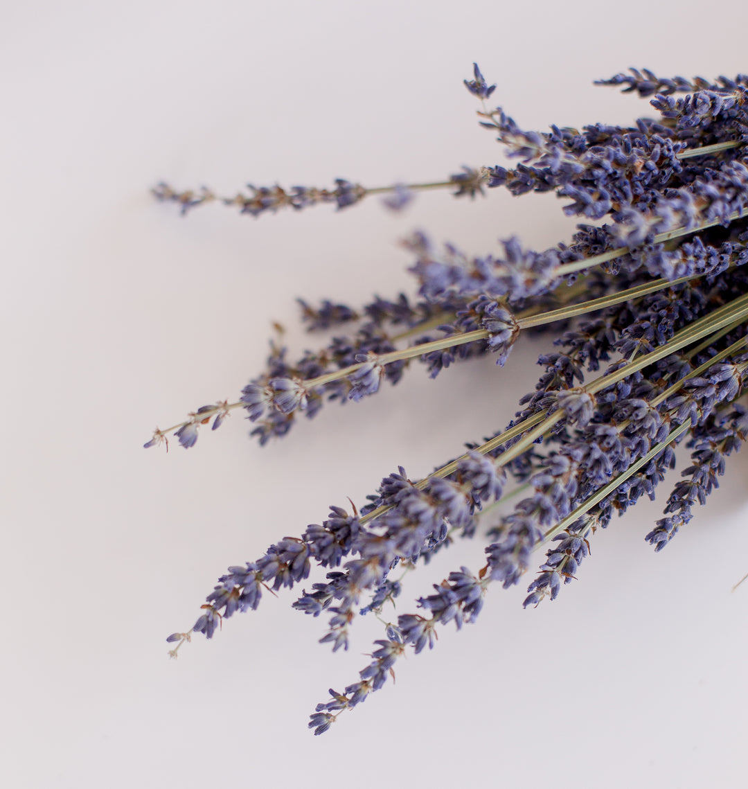 What is Aromatherapy?